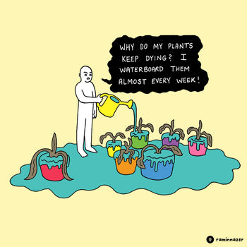 PLANTS